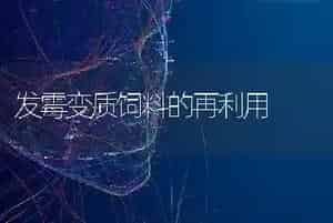 发霉变质饲料的再利用