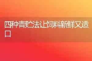 四种青贮法让饲料新鲜又适口