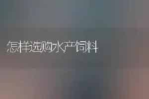 怎样选购水产饲料