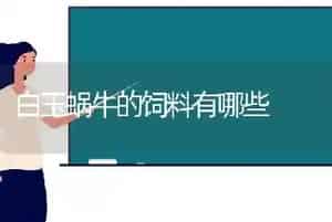 白玉蜗牛的饲料有哪些