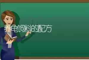 养龟饲料的配方
