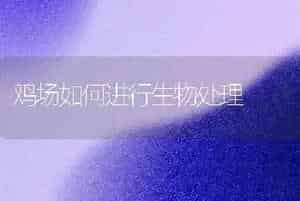 鸡场如何进行生物处理