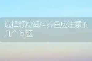 选择颗粒饲料养鱼应注意的几个问题