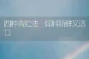 四种青贮法 饲料新鲜又适口