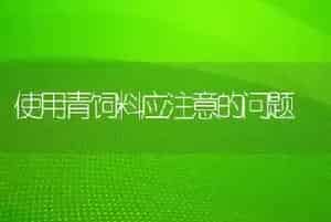 使用青饲料应注意的问题