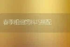 春季粗细饲料巧搭配