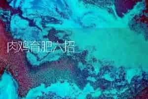 肉鸡育肥六招