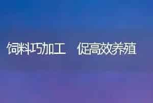 饲料巧加工 促高效养殖