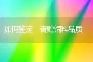 如何鉴定 青贮饲料品质