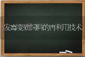 发霉变质饲料的再利用技术
