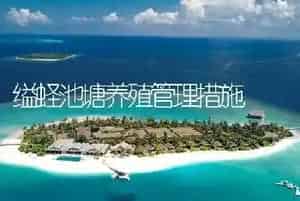 缢蛏池塘养殖管理措施