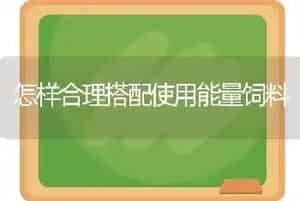 怎样合理搭配使用能量饲料