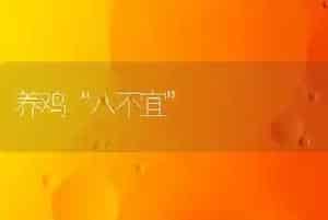 养鸡“八不宜”