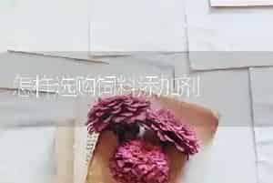 怎样选购饲料添加剂