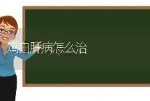 鸡白肝病怎么治