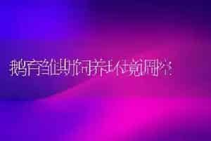 鹅育雏期饲养环境调控