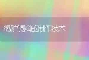 微贮饲料的制作技术