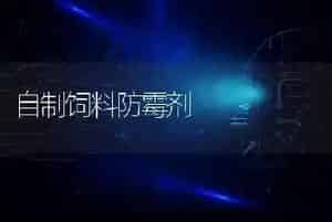 自制饲料防霉剂