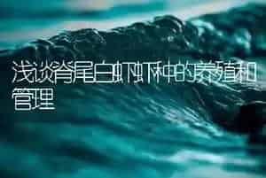 浅谈脊尾白虾虾种的养殖和管理