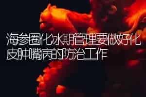 海参圈化冰期管理要做好化皮肿嘴病的防治工作