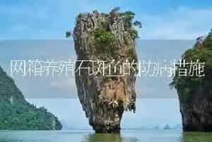 网箱养殖石斑鱼的防病措施