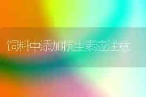 饲料中添加抗生素应注意