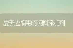 夏季应慎用的饲料添加剂