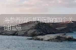 海参养殖后期管理的四个关键措施