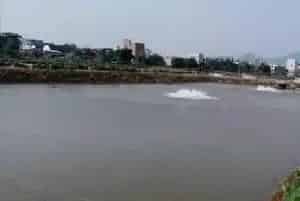 珠海地区瘦水投放红鲉鱼苗一例