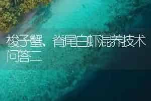 梭子蟹、脊尾白虾混养技术问答二