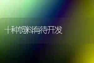 十种饲料有待开发