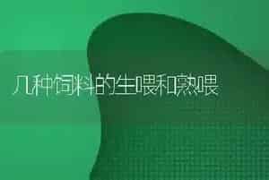 几种饲料的生喂和熟喂