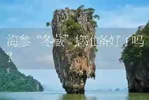 海参“冬藏”您准备好了吗?
