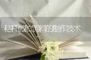 秸秆微贮饲料的制作技术