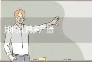 如何让鹅多产蛋