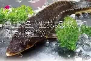 中国鲟鱼产业发展现状、机遇与对策建议