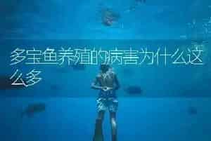多宝鱼养殖的病害为什么这么多