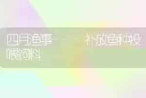 四月渔事---补放鱼种投喂饲料