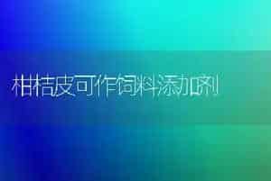 柑桔皮可作饲料添加剂