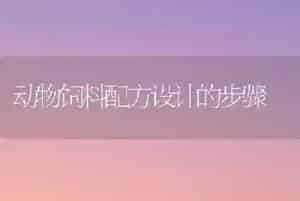动物饲料配方设计的步骤