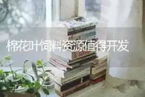棉花叶饲料资源值得开发