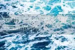 如何将“养护”理念应用到石斑鱼苗培育