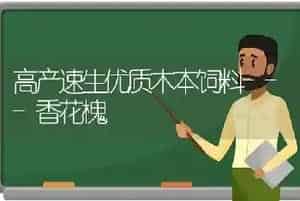 高产速生优质木本饲料---香花槐