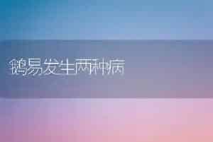 鹅易发生两种病