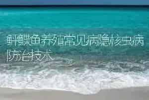 鲆鲽鱼养殖常见病隐核虫病防治技术