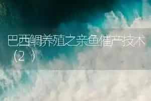 巴西鲷养殖之亲鱼催产技术(2)