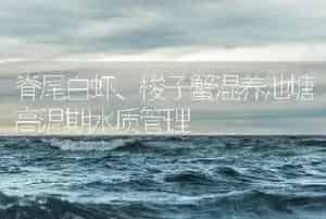 脊尾白虾、梭子蟹混养池塘高温期水质管理