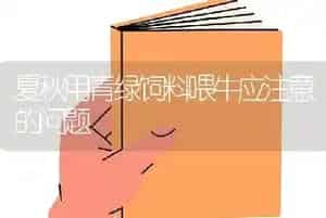 夏秋用青绿饲料喂牛应注意的问题
