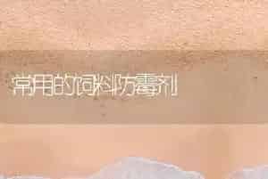 常用的饲料防霉剂