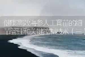 健康高效海参人工育苗的细节管理和关键控制技术(三)